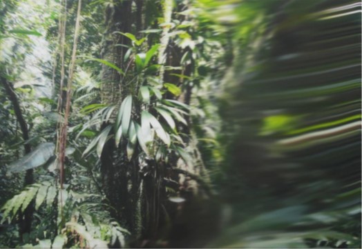 Vernissage Stephan Kaluza am 21. M&auml;rz 